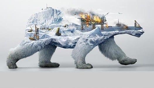 The Impact of Mankind on Wildlife Habitat: Understanding Extinction and Restoring Balance
