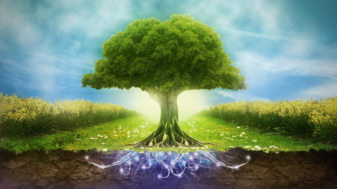 Environmental Protection