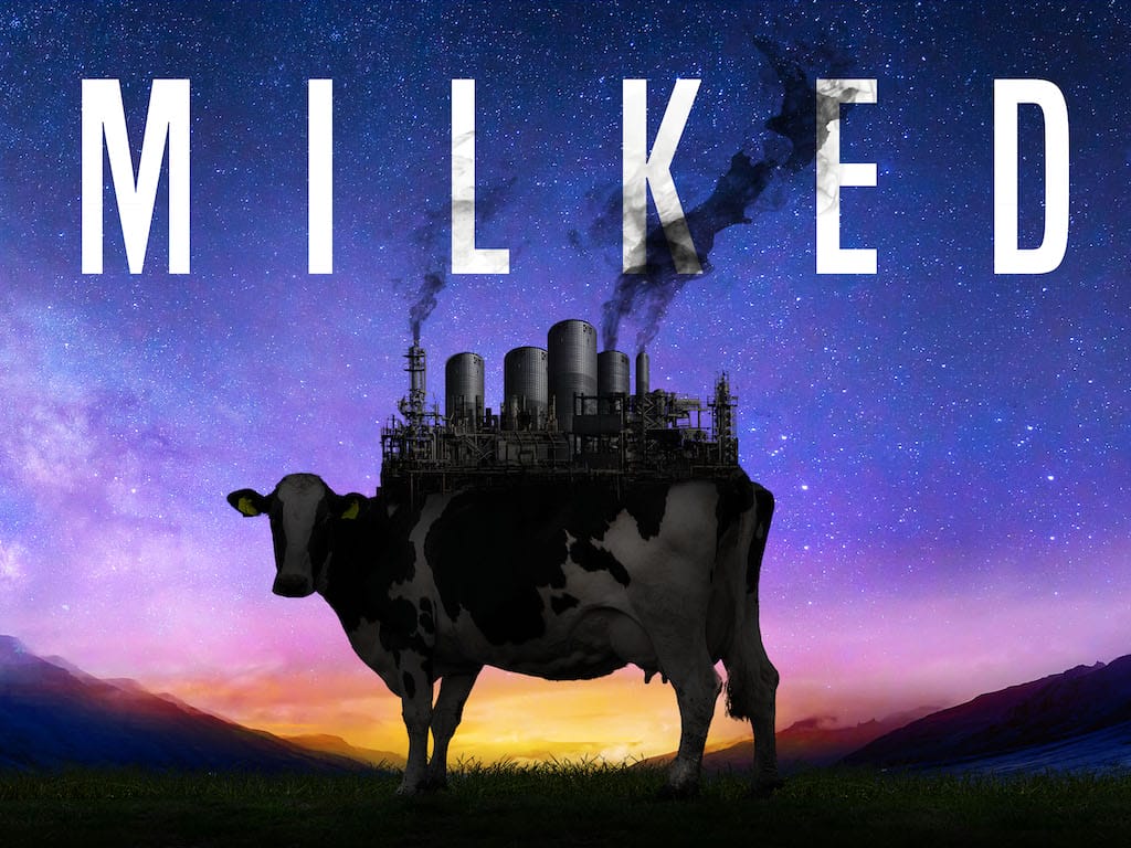 How "Milked" Exposes the Whitewash of Aotearoa's/New Zealand's Dairy Industry