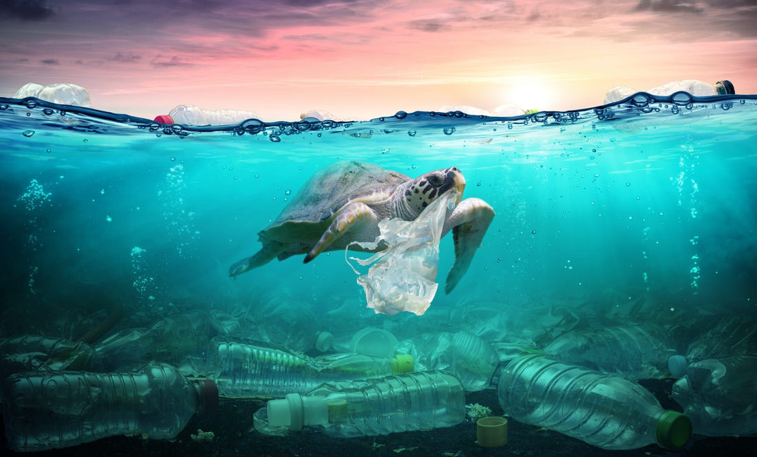 Plastic's Peril: Unveiling its Ecological Impact and Path to Reduction