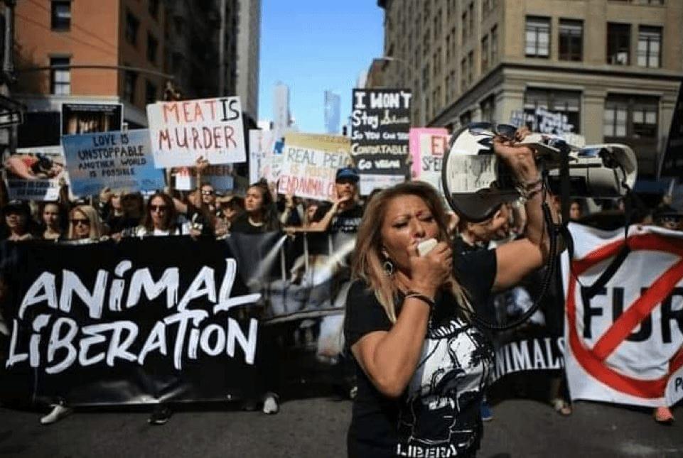 Animal Rights and Animal Welfare
